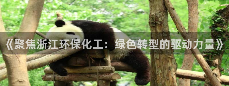 亿万先生充电桩：《聚焦浙江环保化工：绿色转型的驱动力量》