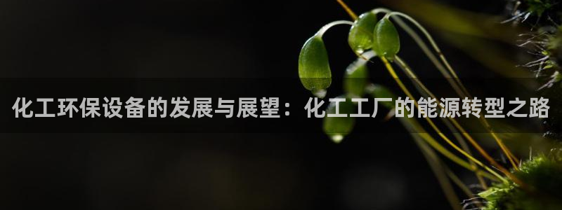 亿万先生mr：化工环保设备的发展与展望：化工工厂的能源转型之路