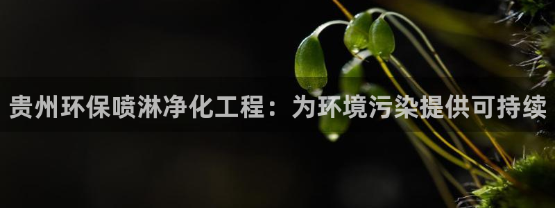 亿万先生手机客户端：贵州环保喷淋净化工程：为环境污染提供可持续