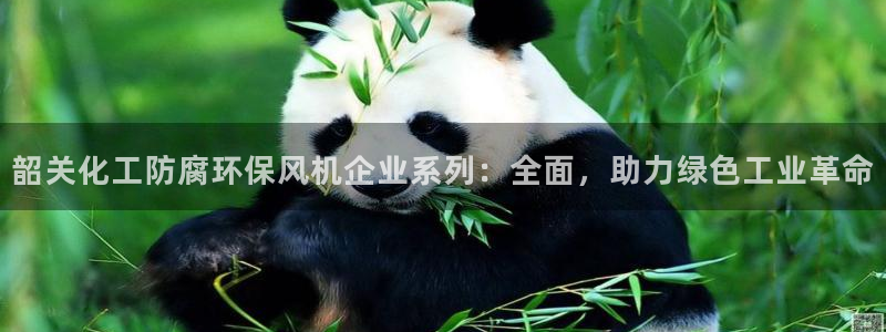 亿万先生用什么客户端：韶关化工防腐环保风机企业系列：全面，助力绿色工业革命