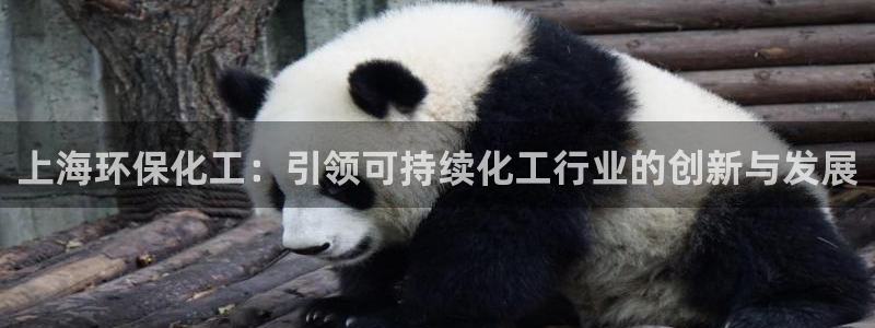 亿万红包版下载正版：上海环保化工：引领可持续化工行业的创新与发展
