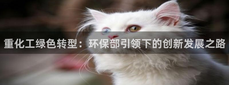 亿万客户端：重化工绿色转型：环保部引领下的创新发展之路