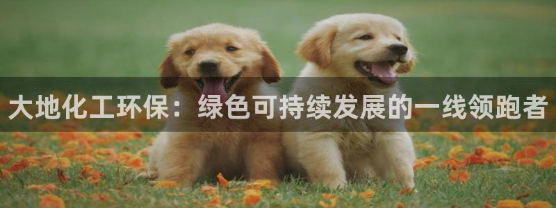 亿万先生现在的网址谁知道：大地化工环保：绿色可持续发展的一线领跑者