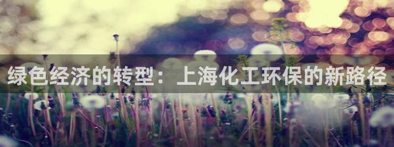 亿万先生app：绿色经济的转型：上海化工环保的新路径