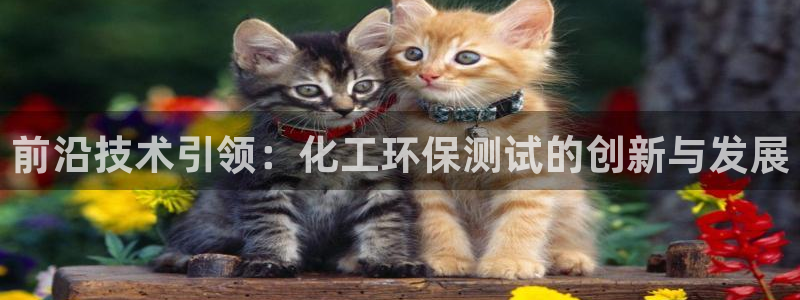 亿万第一季解说：前沿技术引领：化工环保测试的创新与发展