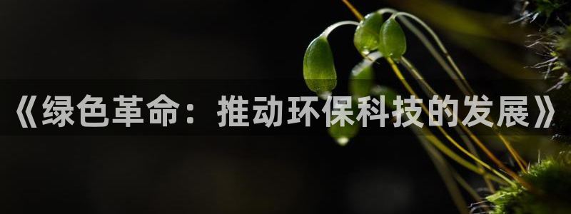 亿万集团：《绿色革命：推动环保科技的发展》