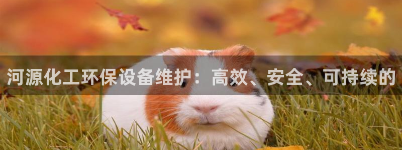 亿万客户端：河源化工环保设备维护：高效、安全、可持续的