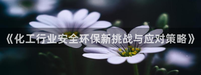 亿万28下载地址：《化工行业安全环保新挑战与应对策略》