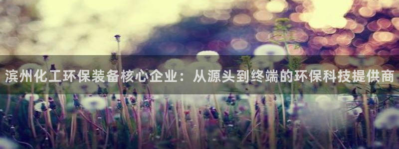 亿万先生游戏平台网址：滨州化工环保装备核心企业：从源头到终端的环保科技提供商