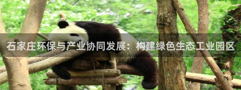 亿万先生下载网址app：石家庄环保与产业协同发展：构建绿色生态工业园区