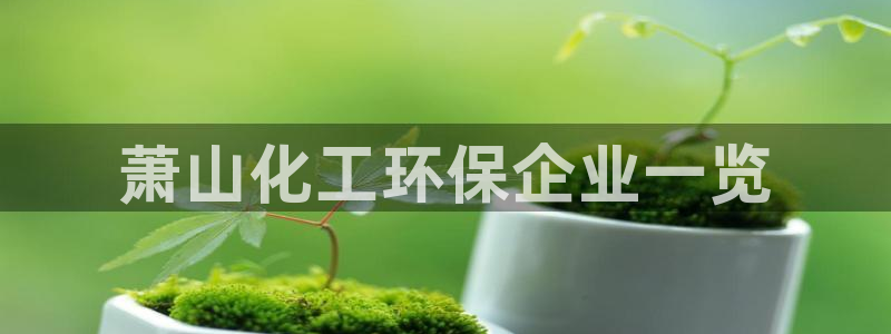 亿万下载徐家汇朋友圈说说：萧山化工环保企业一览