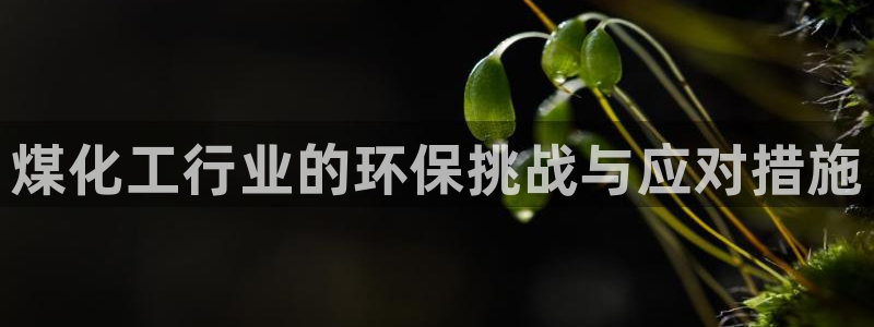 亿万先生下载网址app